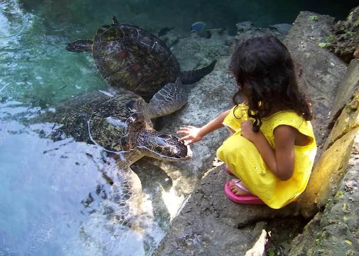Baraka Aquarium Bungalows