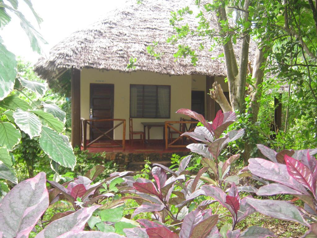 Baraka Aquarium Nungwi