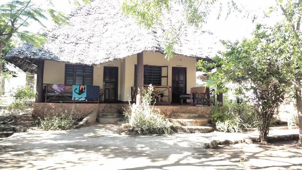 Baraka Aquarium Bed and breakfast Nungwi