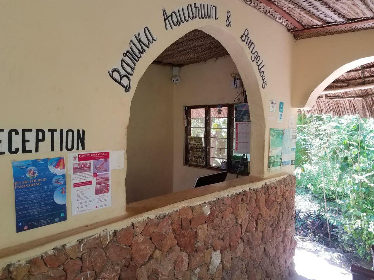 Bed and breakfast Baraka Aquarium Nungwi