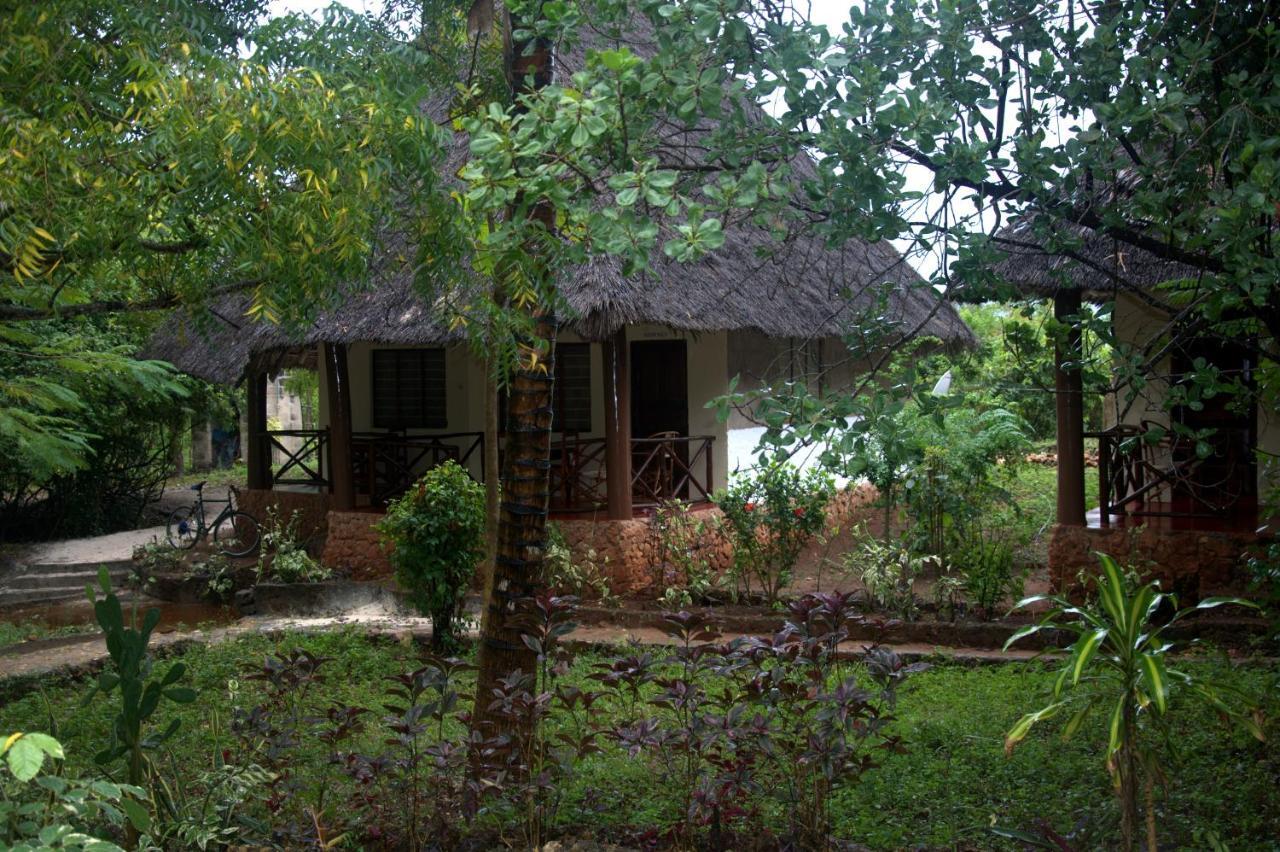 Bed and breakfast Baraka Aquarium