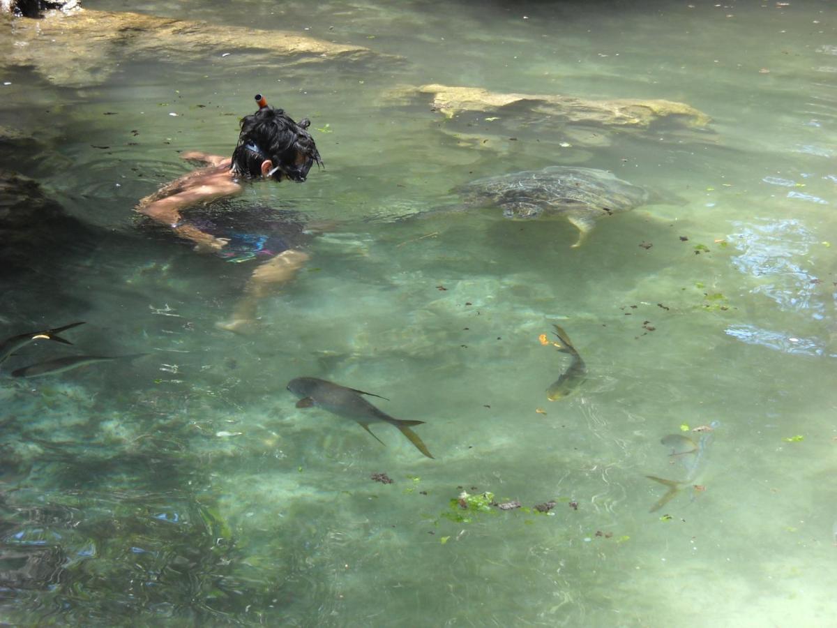 Baraka Aquarium