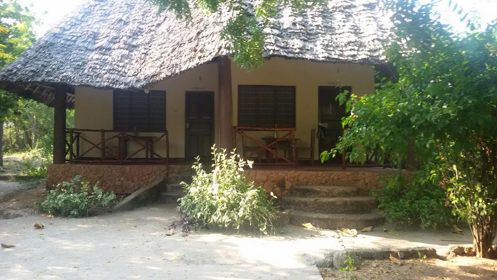 Baraka Aquarium Nungwi