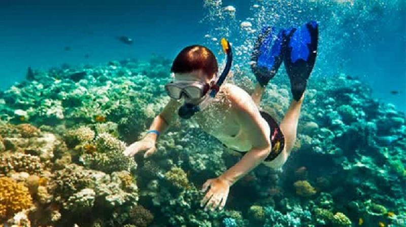 Baraka Aquarium Alojamento de Acomodação e Pequeno-almoço Nungwi