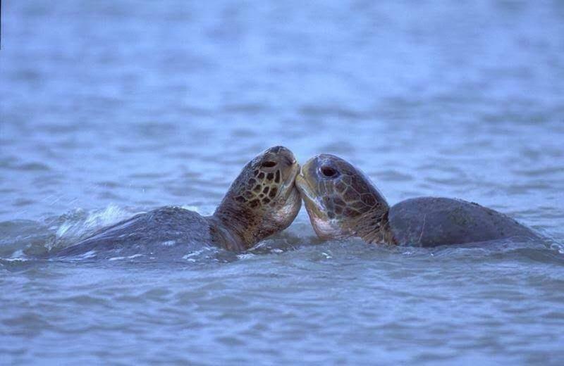 Alojamento de Acomodação e Pequeno-almoço Baraka Aquarium