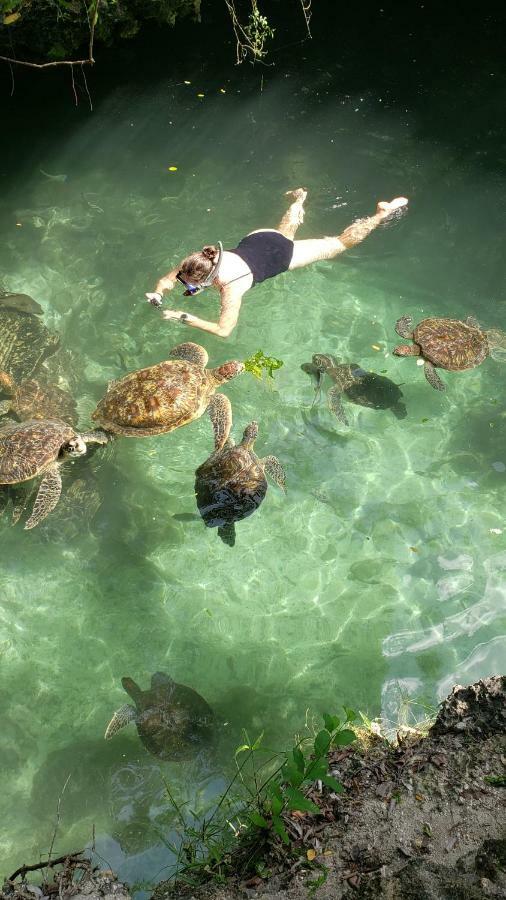 Baraka Aquarium 2* Nungwi